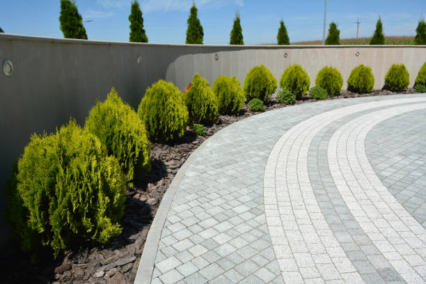 Best Brick Driveway Pavers  in Piggott, AR